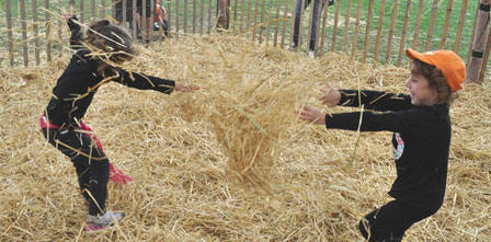 The Hay