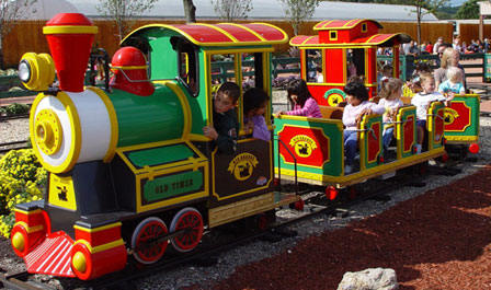 Train Ride